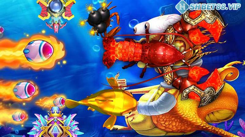 Những lưu ý quan trọng khi chơi trò chơi Bắn cá Fishing King online