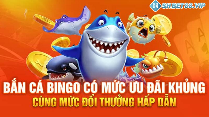 Đôi nét về thể loại bắn cá bingo trên Shbet