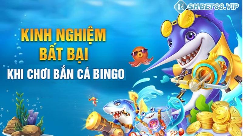 Kinh nghiệm chơi game Bắn cá bingo hiệu quả ở nhà cái Shbet