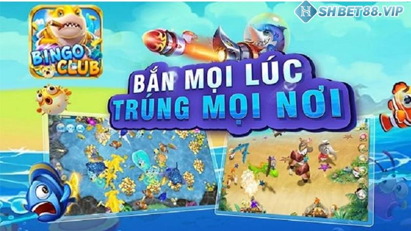 Tham gia chơi bắn cá bingo trực tuyến ở đâu bảo đảm uy tín?