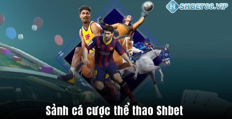 Sơ lược về sàn cược thể thao trực tuyến Shbet