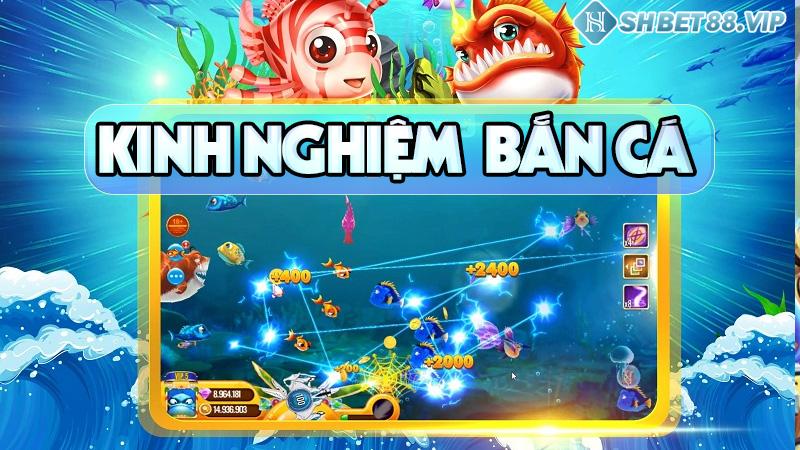 Chiến thuật chơi bắn cá H5 dành cho tân binh