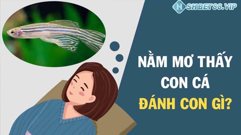 Con cá số mấy? Những bộ số lô may mắn khi mơ thấy cá