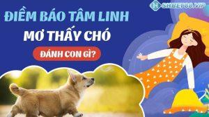 mơ thấy chó