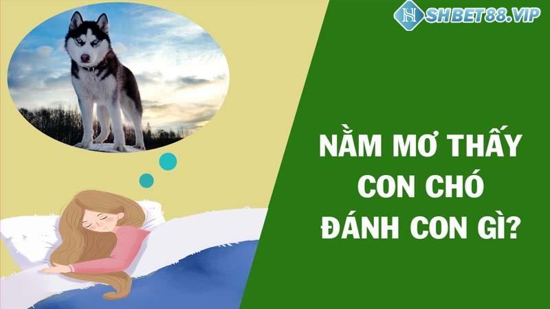 Giấc mơ thấy chó đánh bộ số lô đề nào chuẩn nhất