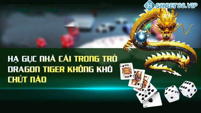 Những thắc mắc liên quan về tựa game Rồng Hổ online