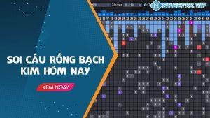 soi cầu rồng bạch kim