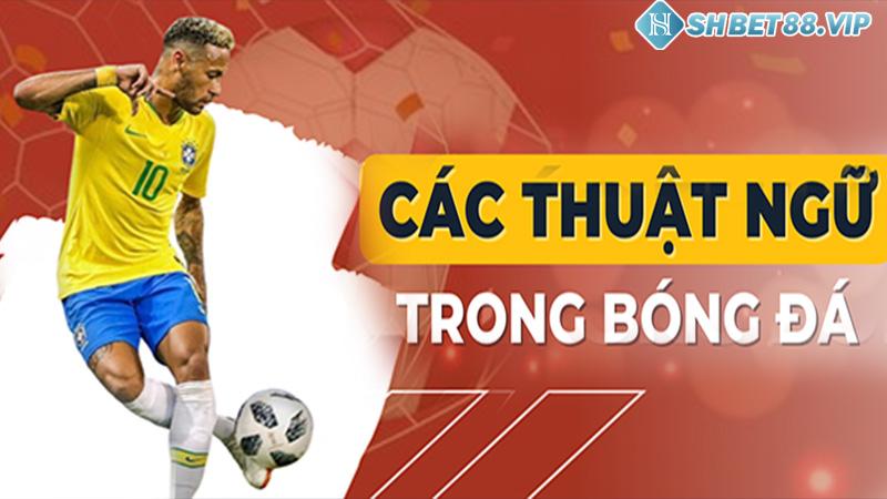 Những thuật ngữ bóng đá quan trọng mà tân binh cằn nằm lòng