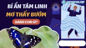 Con bướm số mấy