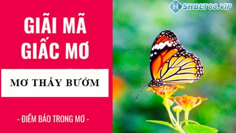 Giải mã hiện tượng mơ thấy bướm chuẩn xác