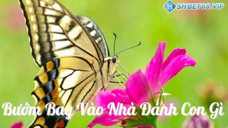 Bướm bay vào nhà đánh con gì chuẩn xác