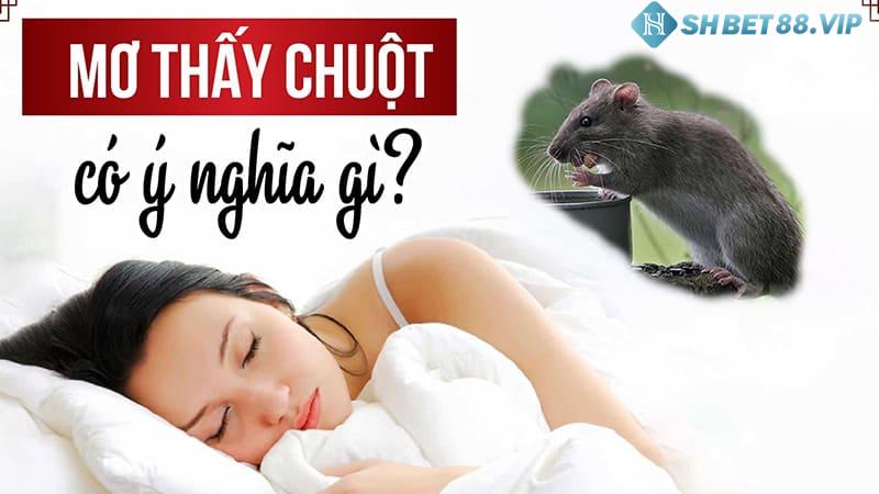 Ngủ mơ thấy chuột mang lại điềm báo gì trong tương lai