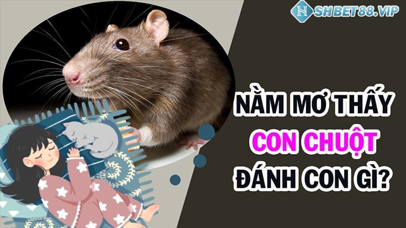 Nằm mơ thấy chuột đánh con gì chuẩn xác