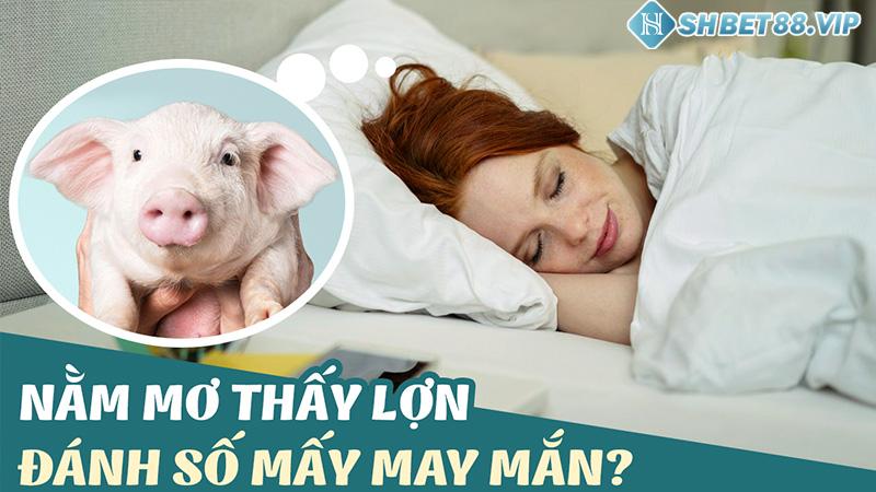 Bộ số lô đề may mắn khi nằm mơ thấy heo (lợn) nên đánh con gì