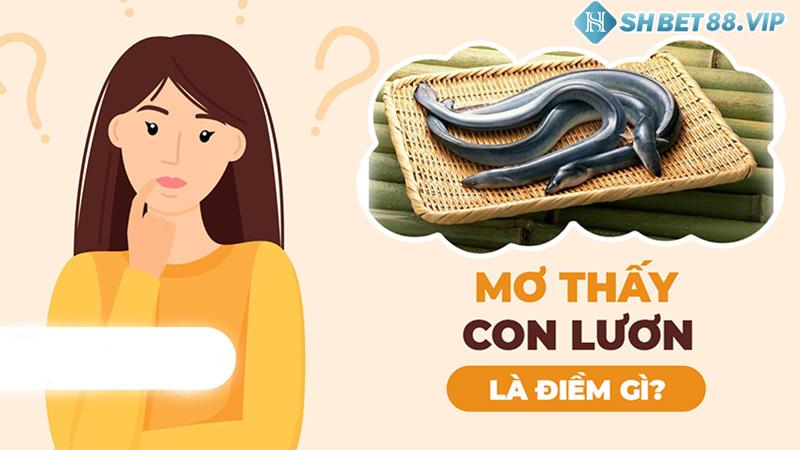 Khám phá chi tiết thông điệp mơ thấy lươn báo hiệu điềm gì