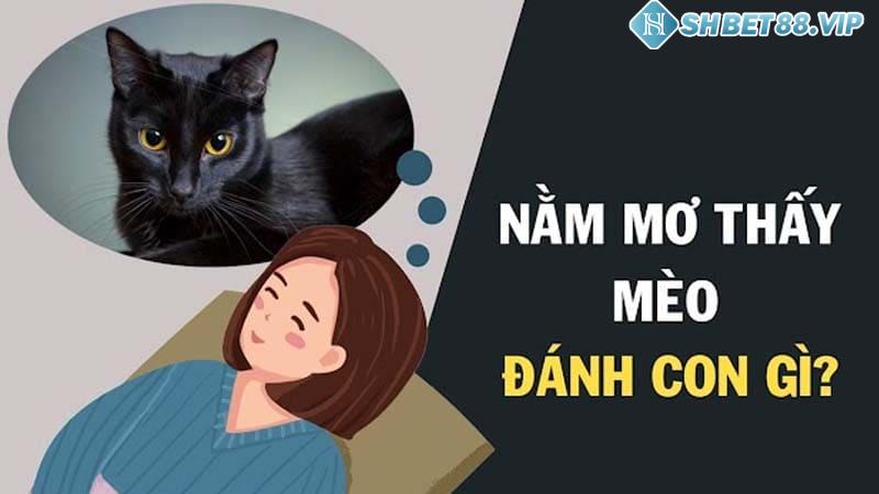 Đánh bộ số lô đề nào khi nằm mơ thấy mèo trúng lớn?