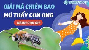 con ong số mấy