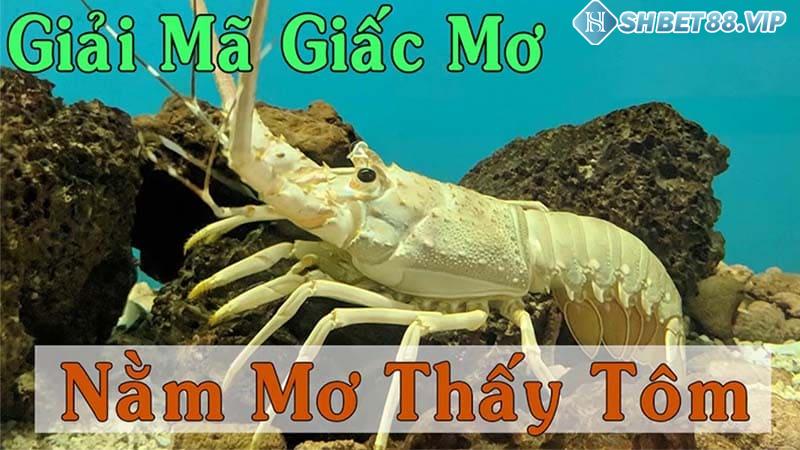 Khám phá bí ẩn giấc mơ thấy tôm mang lại điềm báo gì